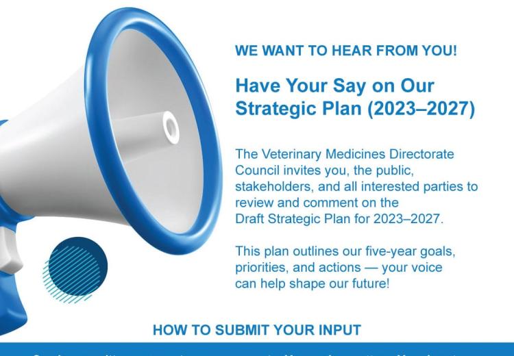 Strategic Plan article